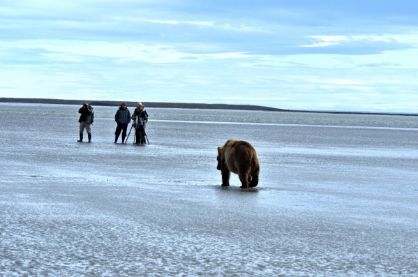 Stay Calm by Dennis Blum